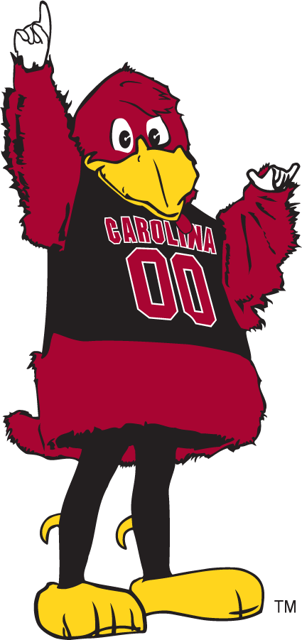 South Carolina Gamecocks 1998-2005 Mascot Logo iron on transfers for T-shirts